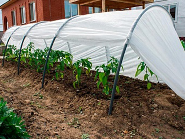 Парник "Бабушкин парничок" 8м, ОСТРОВ КОМФОРТА (длина: 8 м, ширина: 50 см, высота: 70 см) Парник "Бабушкин парничок" 8м, ОСТРОВ КОМФОРТА (длина: 8 м, ширина: 50 см, высота: 70 см)